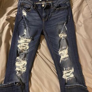 Willow & Root Skinny Jeans